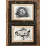 A pair of circa 1900 charcoal drawings showing a horse and dog, signed W T 1900, framed and