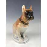 A Lomonosov boxer dog figurine, 22 cm