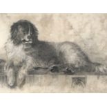 J*** Hodgson (19th Century) Pencil and chalk study of a recumbent spaniel, dated 1888, framed and