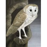 John Crank (1923-2008) Barn Owl, the moonlit bird perched in the hollow of a tree, gouache on paper,