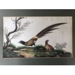 Two 19th century Chinese watercolour paintings of birds on rice paper, each depicted in a