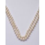 A two-strand necklace of cultured freshwater pearls, of uniform size, falling in a tiered