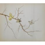 Dennis Mccallum (Scottish, b.1951) Goldcrests on a gooseberry tree, delicate watercolour study,