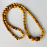 A single strand necklace of graded butterscotch amber beads, the largest of approximately 17 x 15