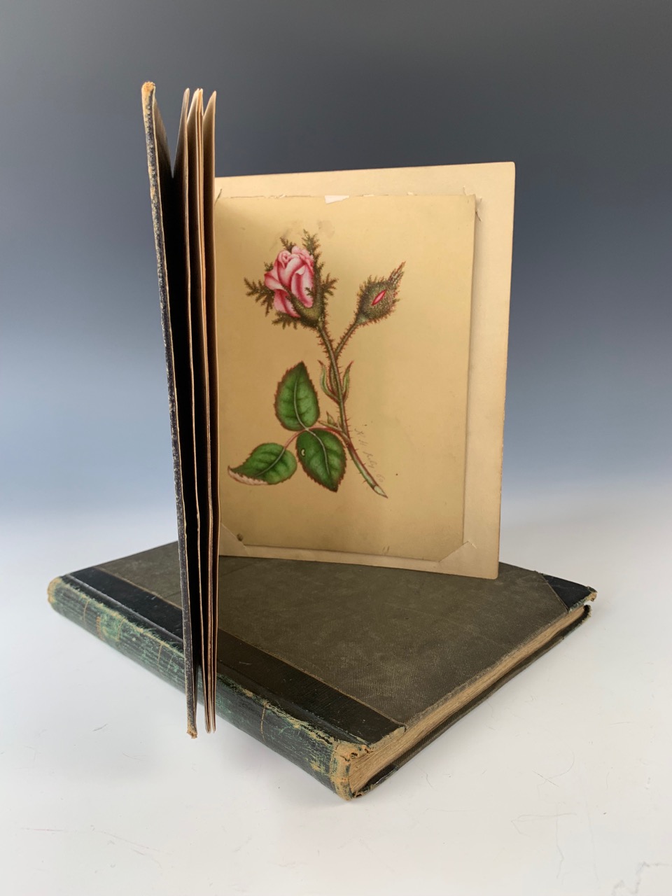 Two Victorian bon-mot albums, belonging to Ann Kirk and Helen Kirk respectively, containing
