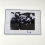 [Autograph] A contemporary print of a photograph of Adolf Hitler's last public appearance on the