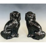 A pair of Victorian Staffordshire type earthenware hearth dogs / spaniels, black glazed and gilt-