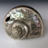 An engraved turbo marmoratus shell by Charles H Wood, commemorating the Duke of Wellington, and