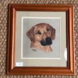 J*** M*** Davies (Contemporary) Portrait of Rhodesian Ridgeback puppy 'Fingo', pastel on paper,