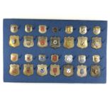 A mounted display of post-War German Police / Deutsche Polizei enamelled badges