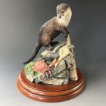 A Border Fine Art otter