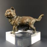 Attributed to Franz Bergman, a cast brass cat, modelled in an alert upright stance with raised tail,