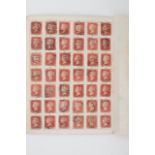 A late 19th / early 20th Century plate folder containing a complete set of Penny Red plates,