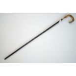 An antique silver-collared walking cane