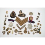 A quantity of British Army and other cap badges and cloth insignia