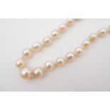 A vintage single strand necklace of Ciro pearls, graded, with precious white metal clasp, stamped '