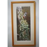 After Terance James Bond (b.1946) A large scale study of a woodpecker, signed limited edition