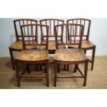 Five early 19th Century country Hepplewhite-influenced ash / elm dining chairs