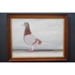 J*** Browne (19th Century) A portrait of a racing pigeon, oil on canvas board, signed and dated