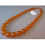 Graduated amber coloured bead necklace