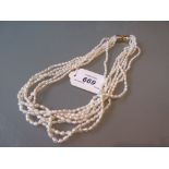 Six strand freshwater pearl necklace