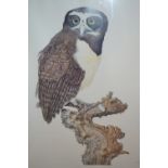 Patrick Connolly, signed Limited Edition colour print of a spectacled owl, No.