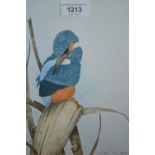 Steve Shotter, watercolour, study of a kingfisher, signed, 10.5ins x 8ins, gilt framed