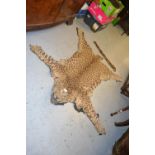 Late 19th / early 20th Century taxidermy leopard skin rug with head, felt lined (at fault)