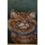 Late 19th / early 20th Century oil on card, portrait of a cat with blue collar, monogramed E.A.,