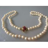 Uniform cultured pearl necklace with a 14ct gold ruby set clasp