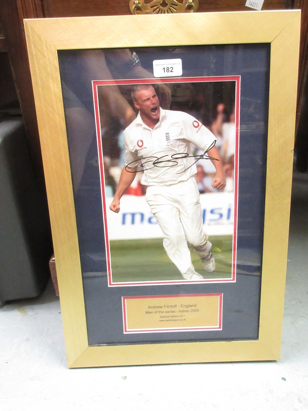 Andrew Flintoff, signed photograph in gilt frame, 21ins x 14ins overall size