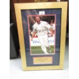 Andrew Flintoff, signed photograph in gilt frame, 21ins x 14ins overall size