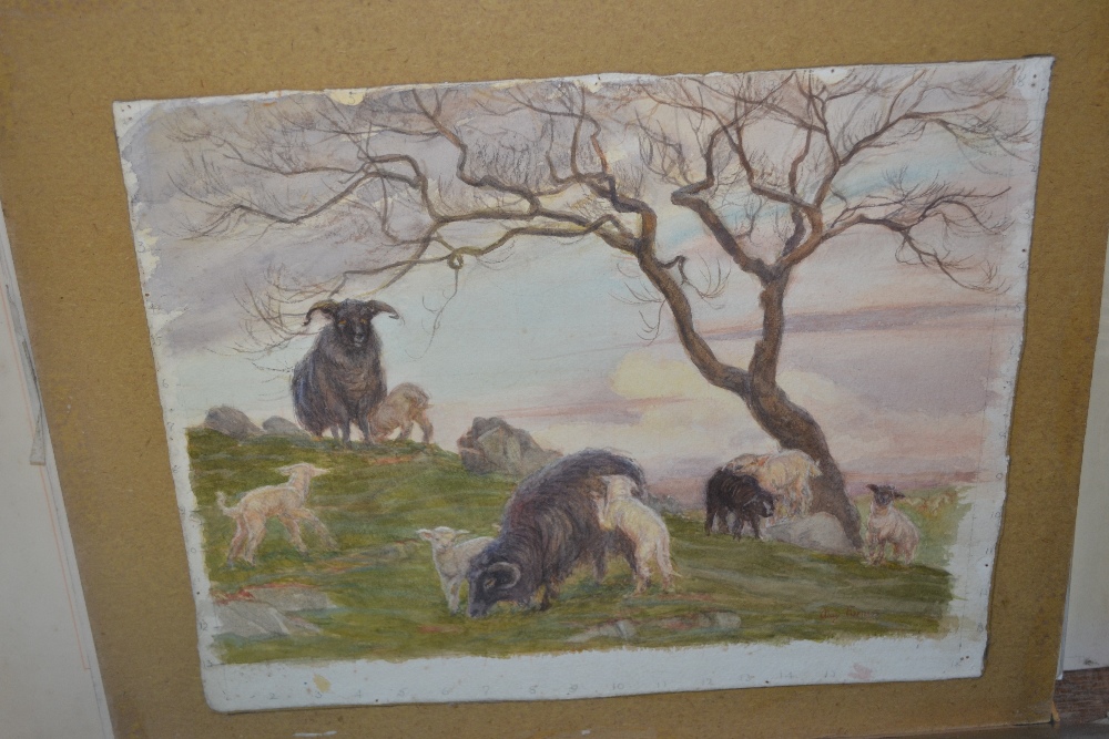 May Furniss, six unframed watercolours, study of sheep and goats, landscape and other scenes,