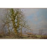 David Shepherd, signed coloured print, ' This England ' together with another signed print