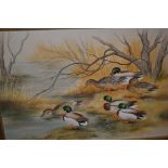 Paul Nicholas signed watercolour and body colour, mallard at the edge of a lake, 13ins x 19ins