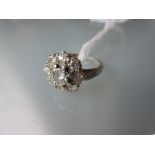 Platunum nine stone diamond clucter ring with diamond set shoulders 5g