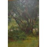 Early 20th Century oil on canvas of a wooded blossoming copse, unsigned, gilt framed, 20ins x 13.