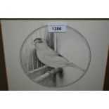 A.F. Lydon, pen drawings of a canary and another, signed, oak framed, 7ins x 9ins each