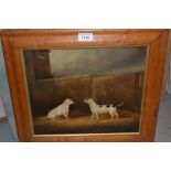 19th Century maplewood framed oil on canvas, portrait of two dogs in a yard, 11ins x 13ins