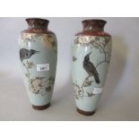 Pair of good quality Japanese cloisonne baluster form vases decorated with birds and prunus