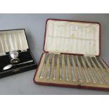 Cased set of twelve silver handled tea knives with steel blades, together with a cased silver eggcup