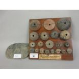 Small mounted collection of Mexican spindle whorls from the Greig collection, together with a
