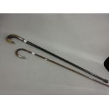 Two antique silver mounted walking canes
