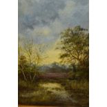 20th Century oil on canvas, river landscape, indistinctly signed, gilt framed, 20ins x 16ins,