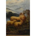 J.W. Morris, pair of oil paintings on canvas, sheep in a Highland landscape, signed, 17ins x 13.