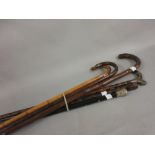 Two silver mounted walking sticks, together with a small quantity of other various walking sticks