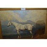 Oil on canvas board, portrait of a white horse in a landscape, signed ' Harsley ', dated 1901, 13.