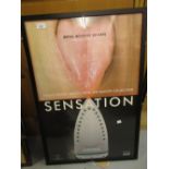 Framed poster, Royal Academy of Arts Sensations' framed