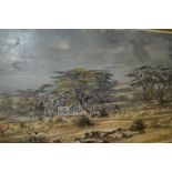 J.F. Adams, 20th Century oil on canvas, zebra in a landscape, signed, 25.5ins x 39.5ins, framed