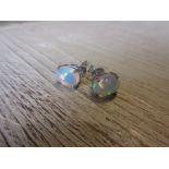 Pair of Ethiopian opal stud earrings Estimate of £50 - 80. These are 925 silver.